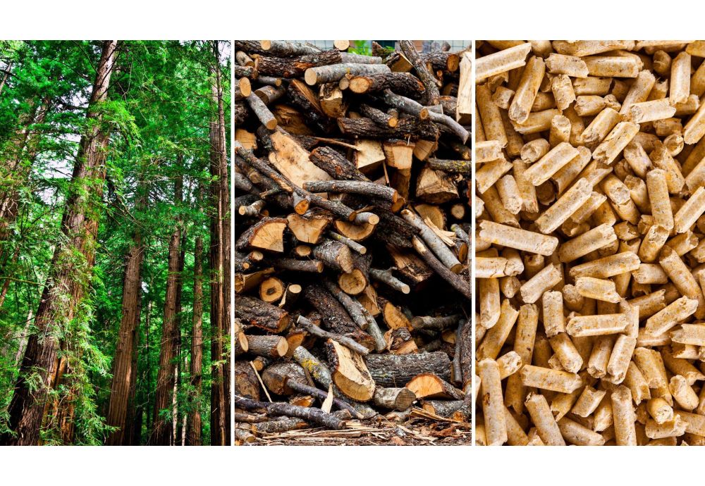 Pelletkachels: verwarmen met hernieuwbare energie